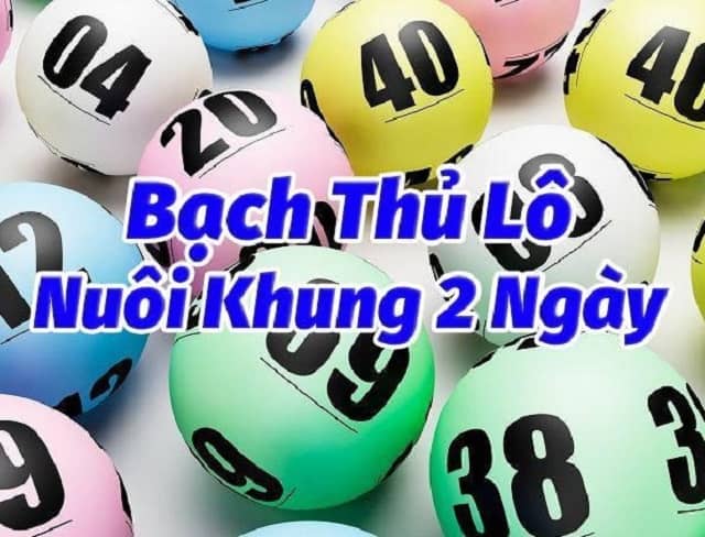 Kinh nghiem soi bach thu lo khung 2 ngay mien phi